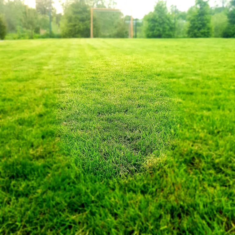 Дом с шикарной беседкой на озере