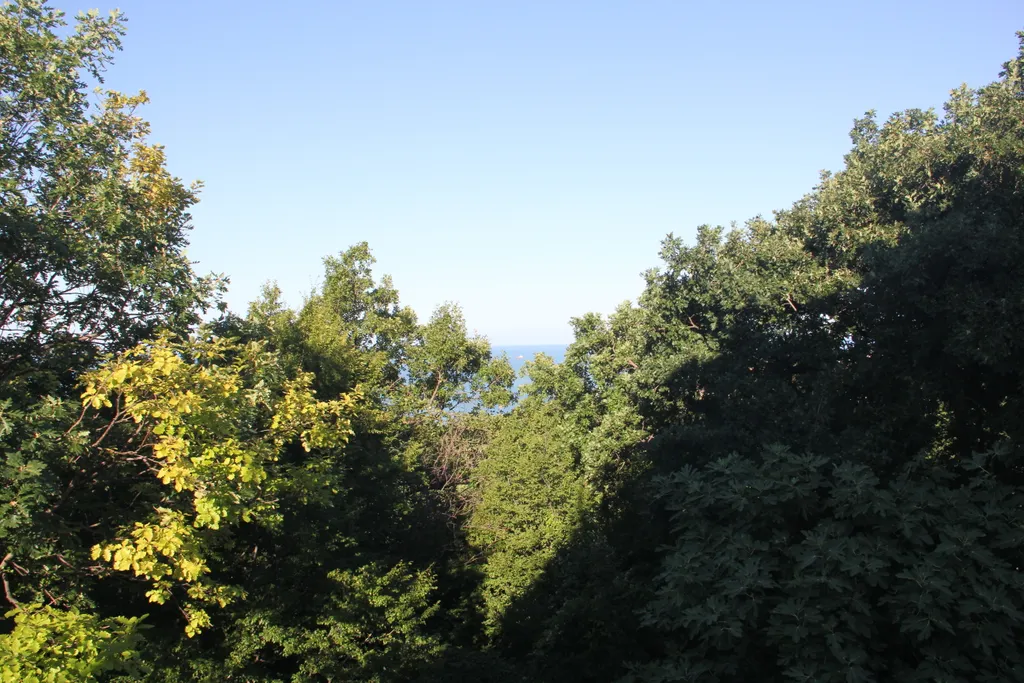 Комната с видом на море