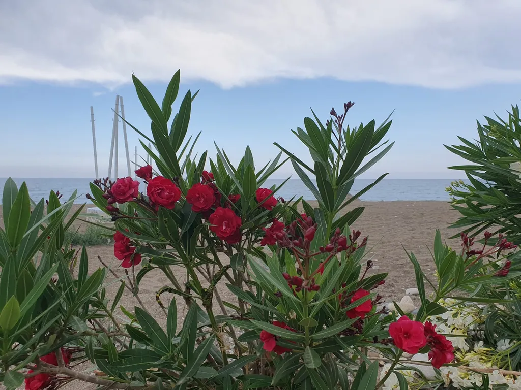 Квартира с видом на море и горы из всех окон