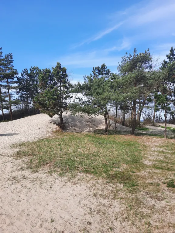 Дом  на побережье Балтийского моря