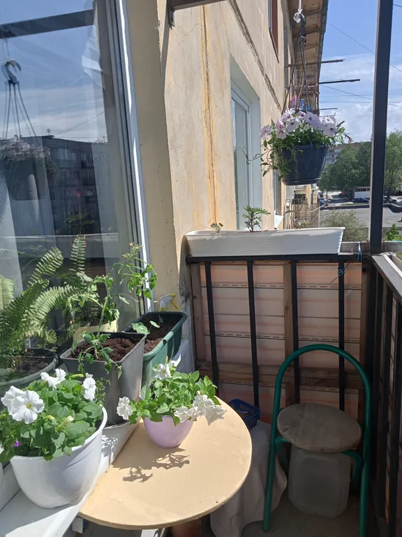 Уютная квартира около центра города