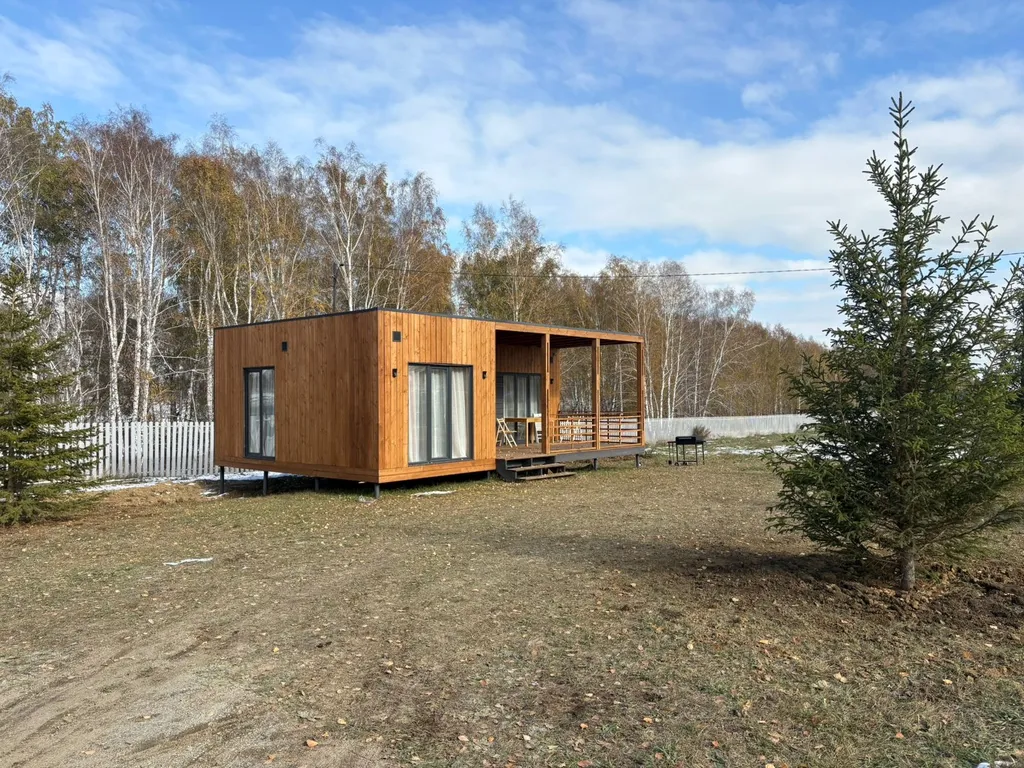 Дом с видом на березовый лес