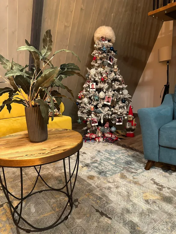 Новый двухэтажный дом в заповедной лесной зоне