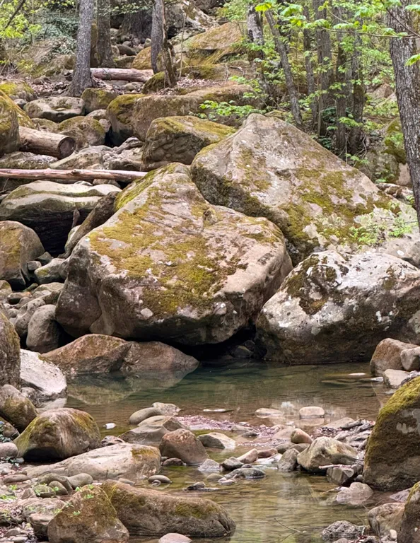 Коттедж Домик в предгорье со всеми удобствами — Краснодар