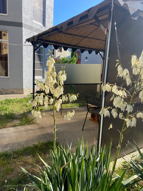 Уютный домик в центре Витязево