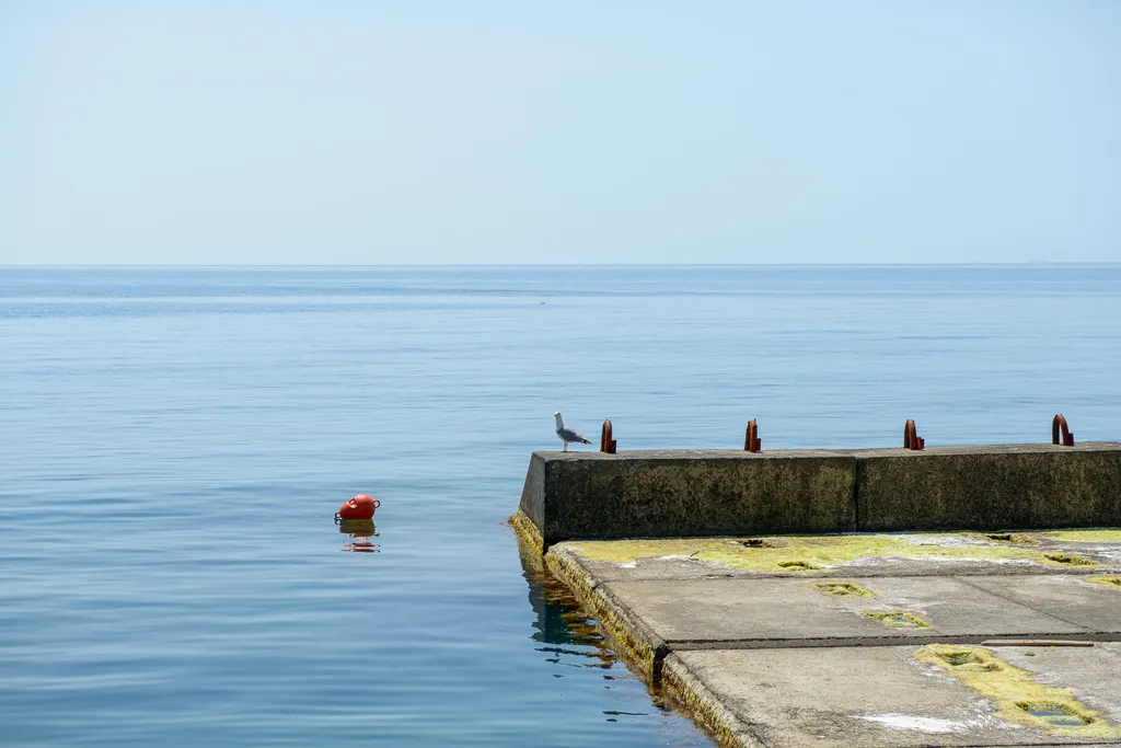 Квартира Апартаменты с видом на море № 36 — Санаторное