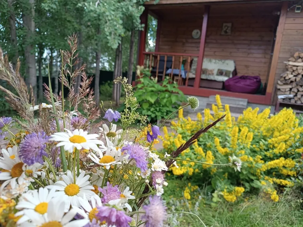 Дачный домик на 67 километре