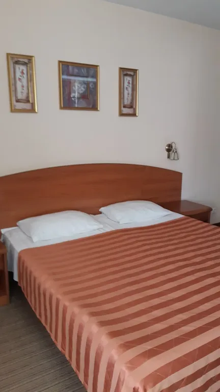 Квартира Комната — Пушкин