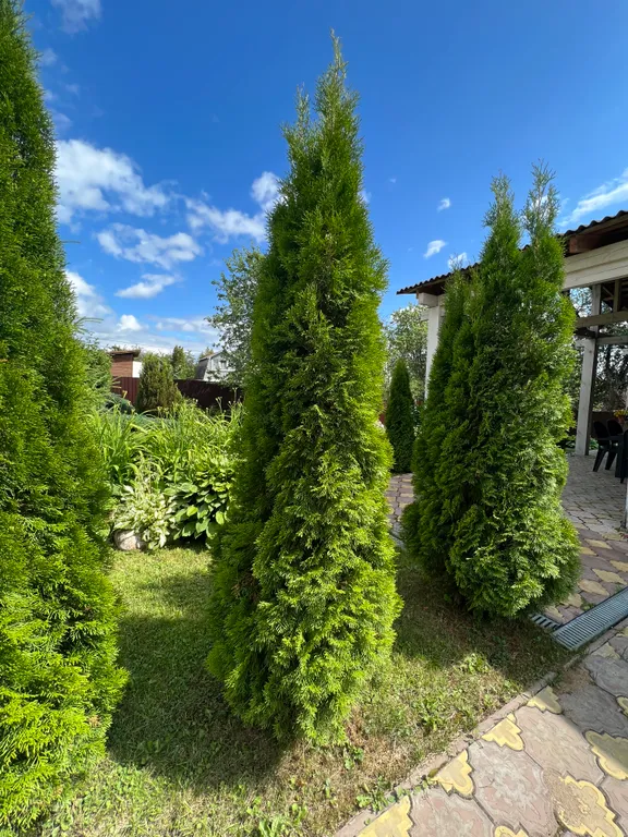 Загородный уютный дом для семейного отдыха