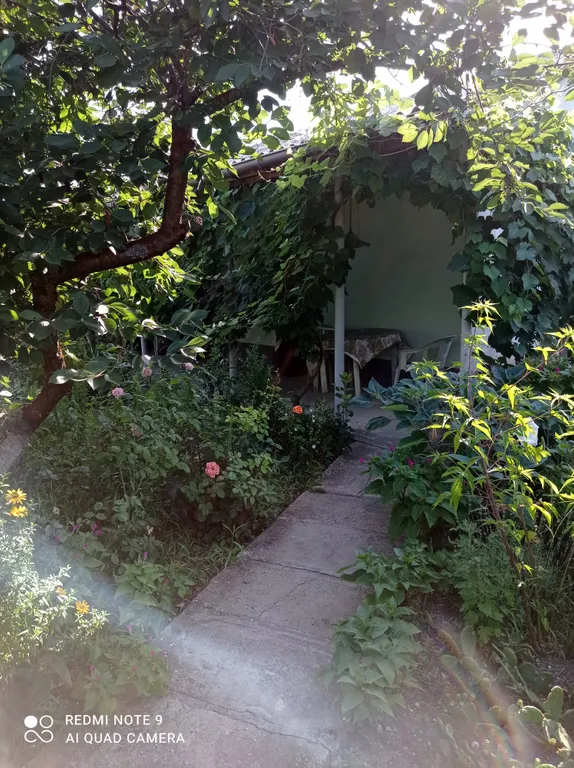 Уютный дворик