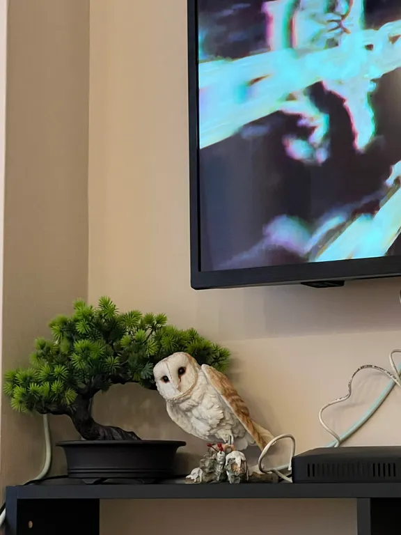 Квартира Однокомнатная квартира в центре Сочи рядом в вокзалом — Сочи