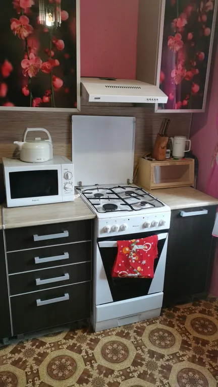 Однокомнатная квартира в центре Петрозаводска — аренда посуточно в Петрозаводск