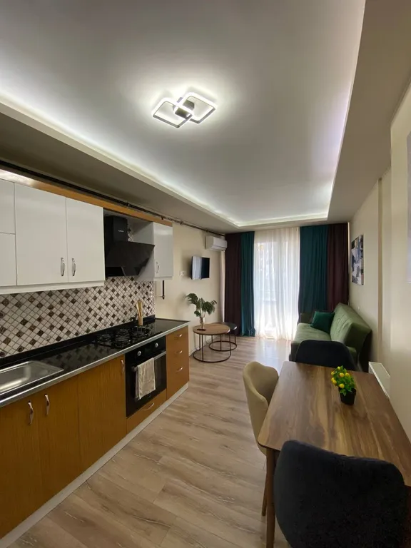 Видовая 1+1 прямо у Соли