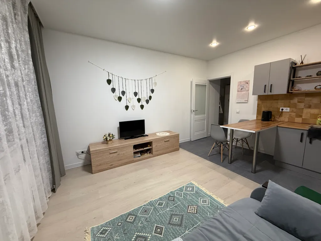 Студия в Новом Пушкино