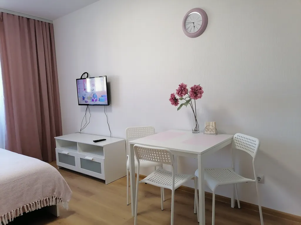 Квартира Квартира рядом с НМИЦ онкологии имени Петрова — Песочный