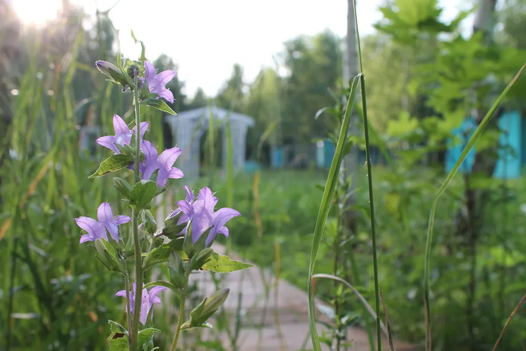 Модульный дом Береза на двоих