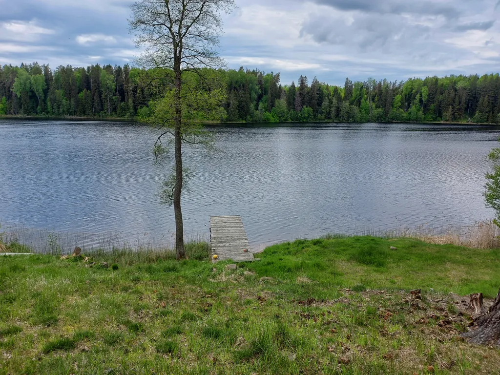 Медвежий угол