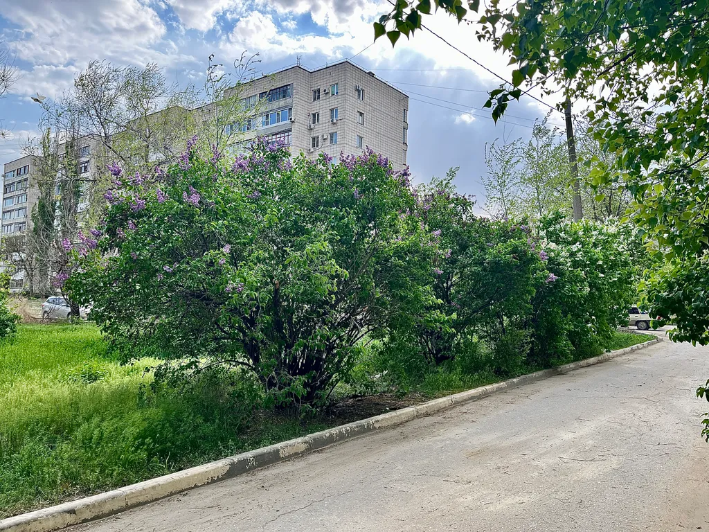 Уютная квартира на берегу Волги