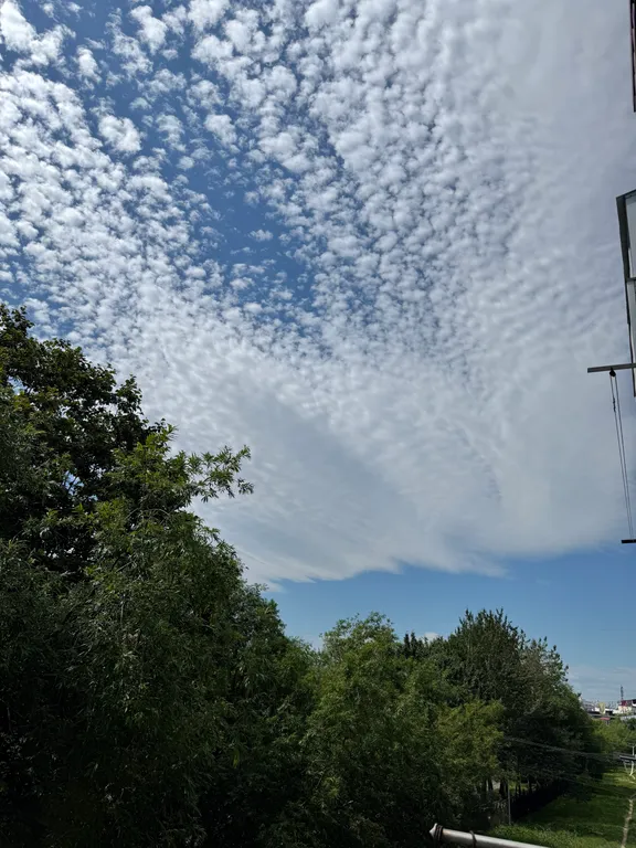 Серый лофт на силуэте