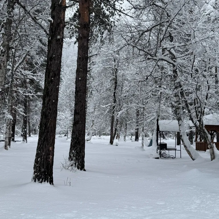Коттедж в заповедной зоне