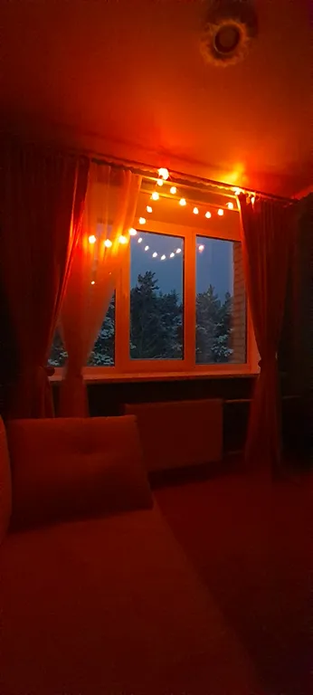 Квартира Студия в сосновом бору — аренда посуточно в Ивантеевка