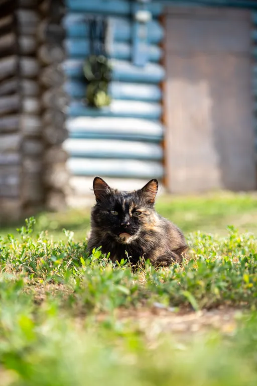 Дом на Камском море