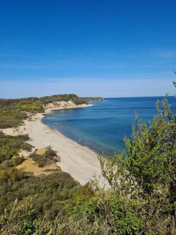 Коттедж Уютный гостевой дом — Лесное