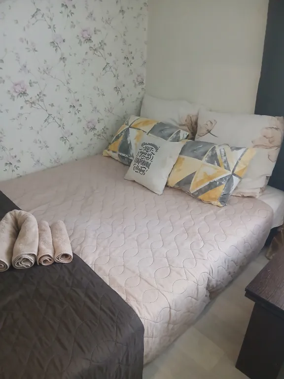 1-комнатная Квартира — аренда посуточно в Воронеж