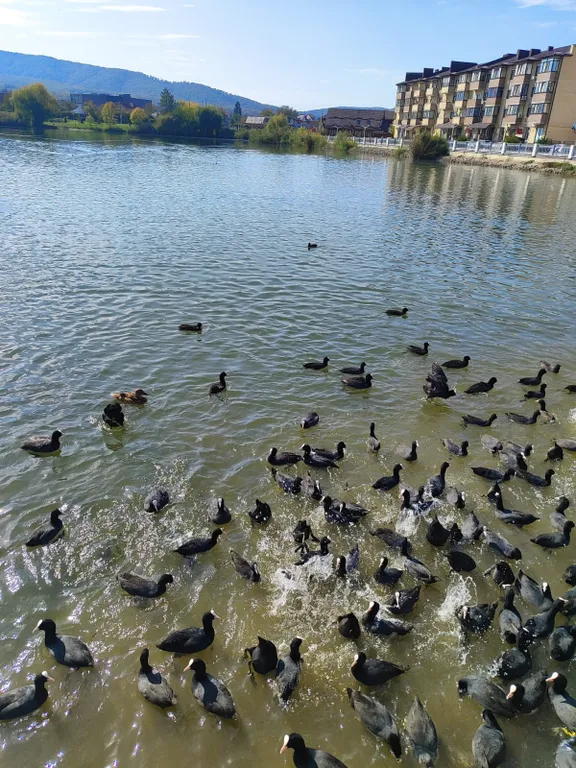 Квартира Квартира Топ- место. С лутший локацией и видами. Это то что Вы ИСКАЛИ — Горячий Ключ