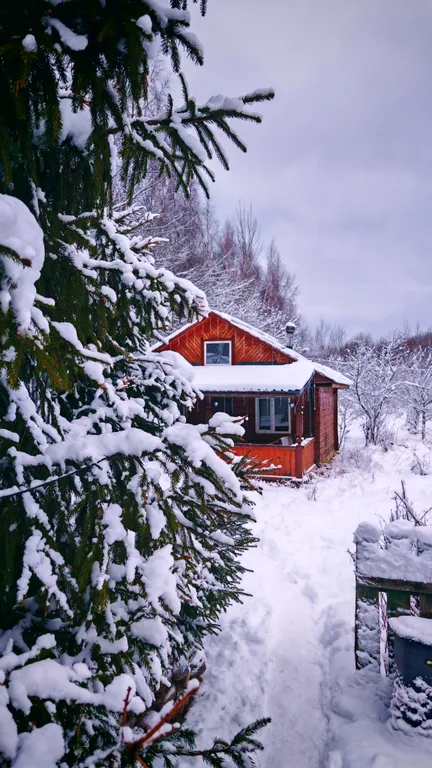 Коттедж Лесной домик — Осурово