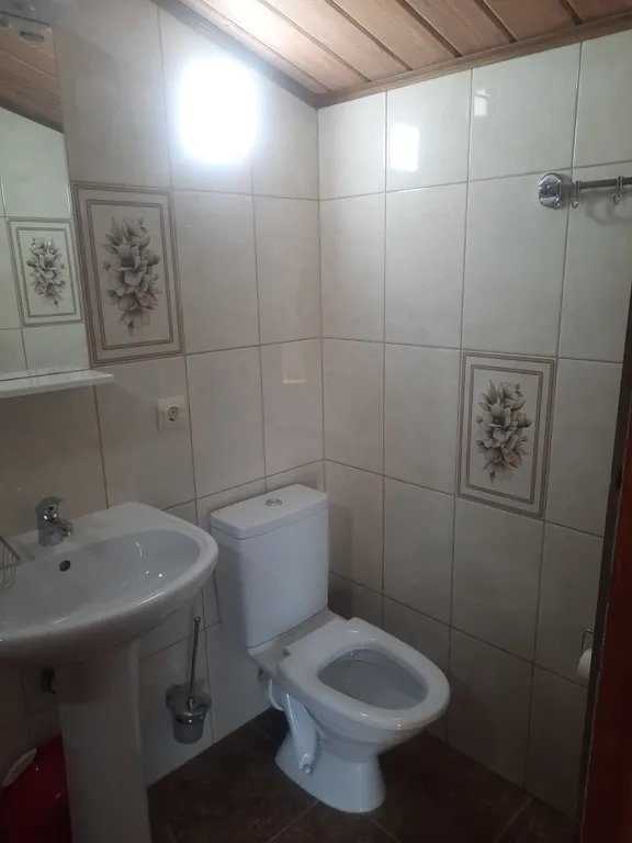 Белый Какаду