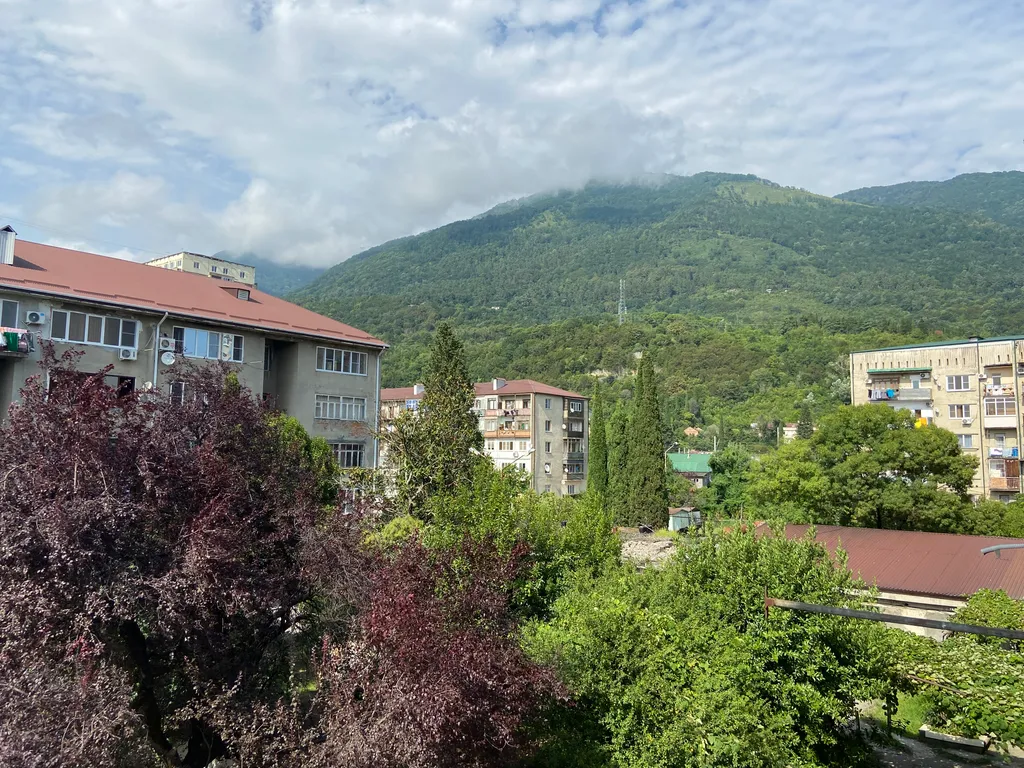 Квартира Уютная квартира на второй линии от моря — Гагра