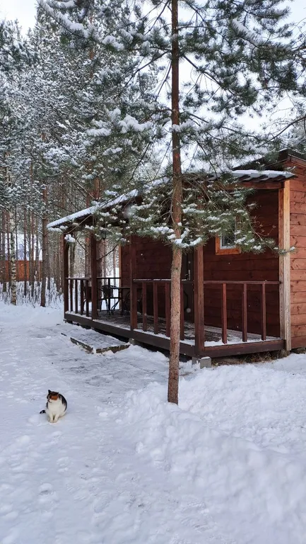 Коттедж Уютный домик в лесу №1 с двухъярусной кроватью — Кутузовское