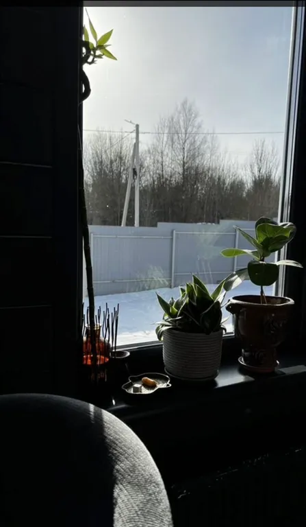 Домик с сауной у леса