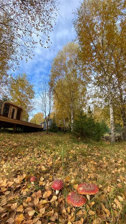 Современный коттедж Шон на Истринском водохранилище