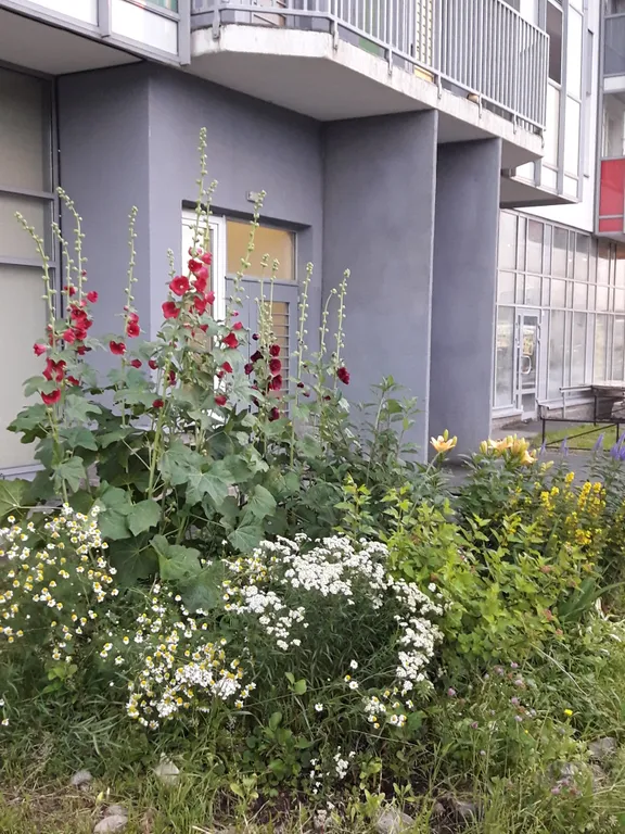 Уютная квартира в новом доме недалеко от метро