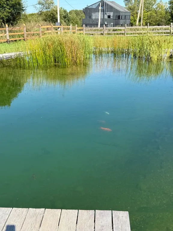 Гостевой Домик Все Свои