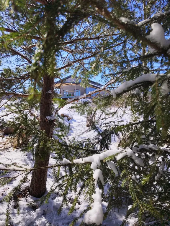 Коттедж Уютный дом с русской баней на пруду у леса — аренда посуточно в Пущино