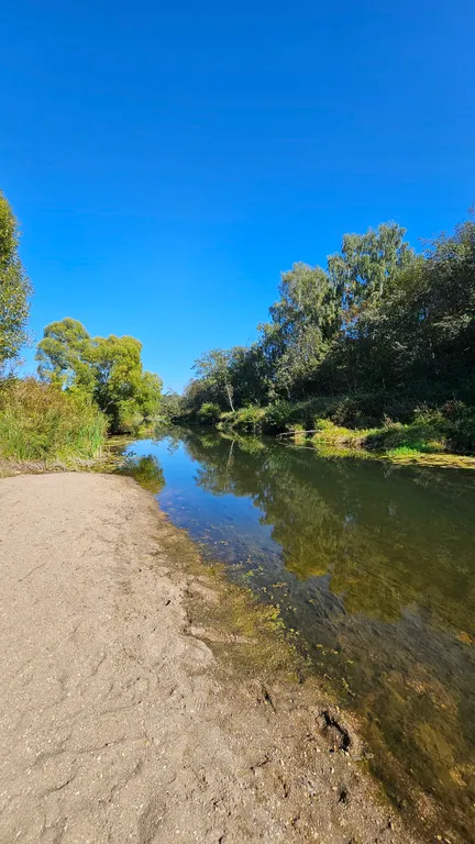 Коттедж Эко-Дом с Панорамными окнами на лес и террасой — Можайск