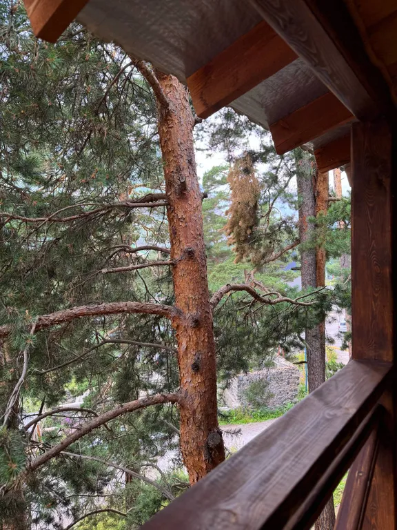 Апартаменты на поляне Азау