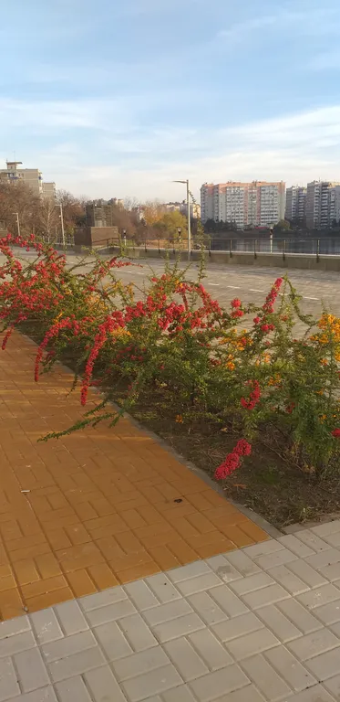 Квартира Двухкомнатная квартира у озера в центре Краснодара — Краснодар