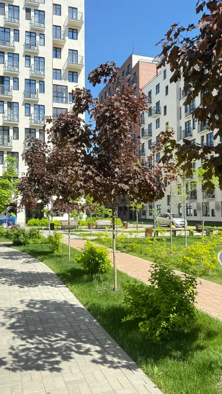 Квартира Квартира Студия в Сердце Ярославля — Ярославль