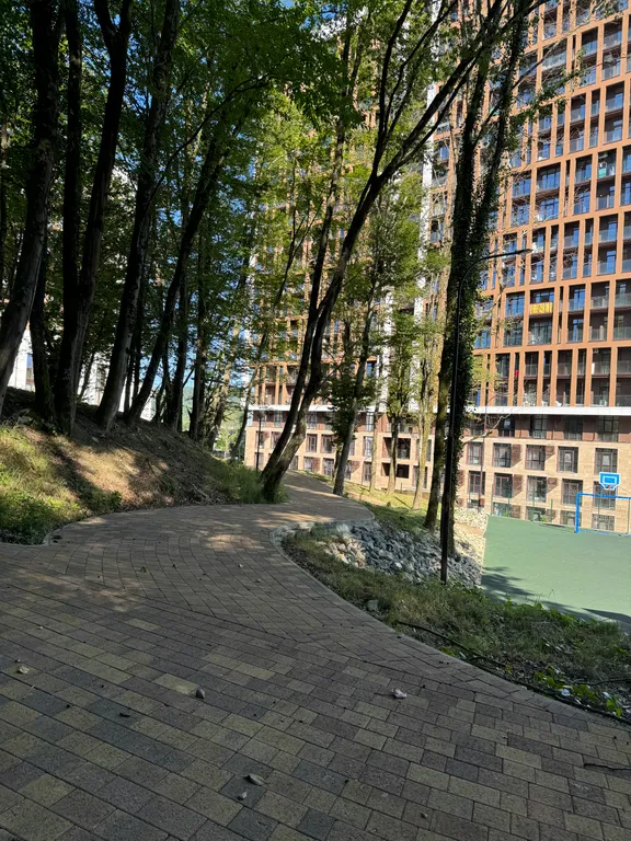 Уютная студия с видом на горы