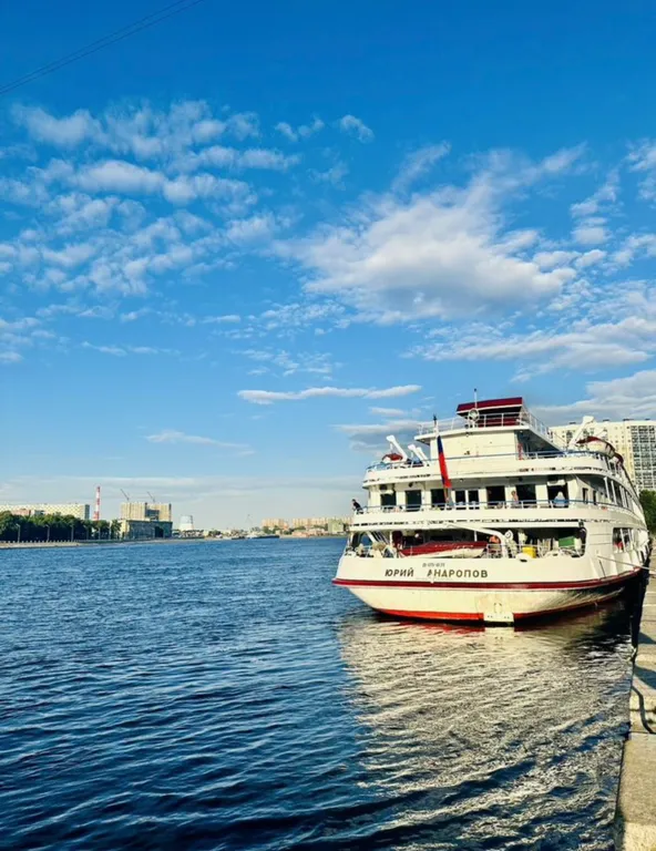 Квартира Квартира Уютные аппартаменты рядом с метро, Невой и разводным мостом — Санкт-Петербург