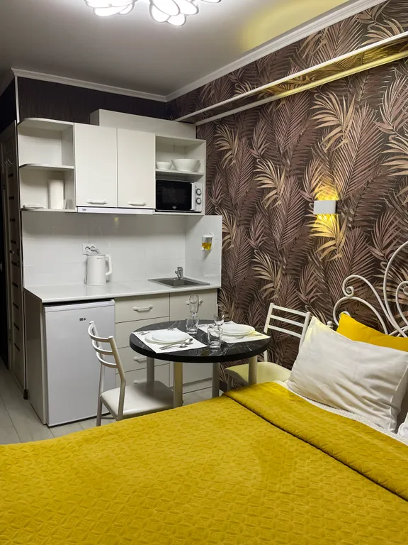 Уютная комната-студия в центре города