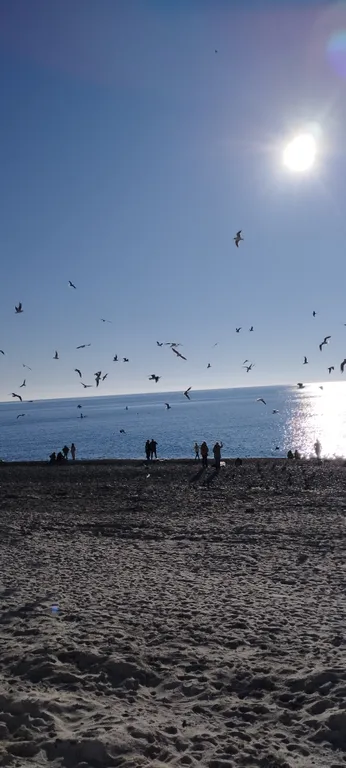 Квартира Уютная 1-комнатная квартира с видом на горы — Сириус