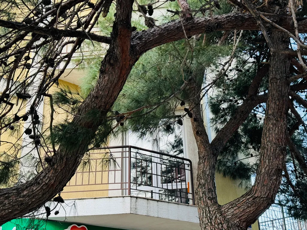 Апартаменты Лермонтовский бульвар делюкс