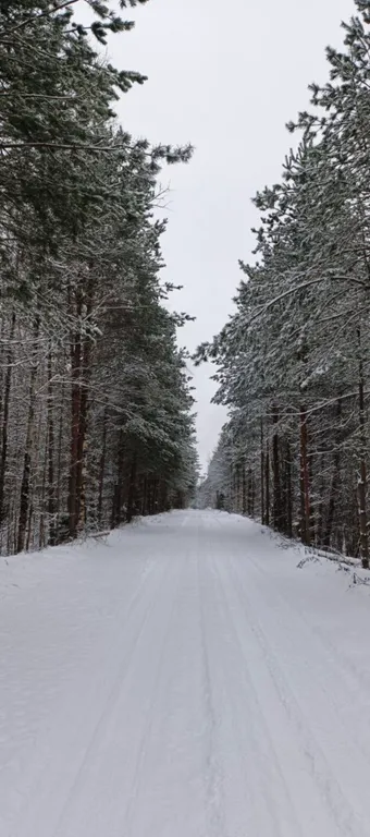 Экодом «Боброво»