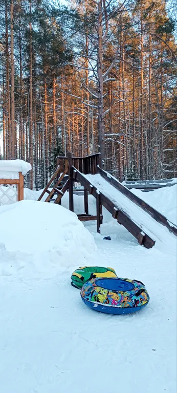 Уютный гостевой дом в лесном просторе