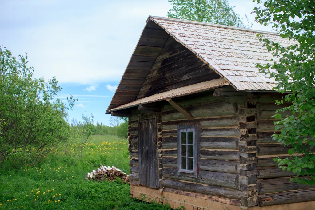 Дом под липой